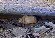 Ratanabá: descobertas monumentais e expedições de ponta revelam os mistérios de uma civilização ancestral na Amazônia